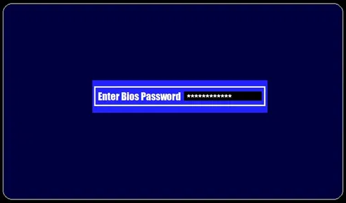 bios password
