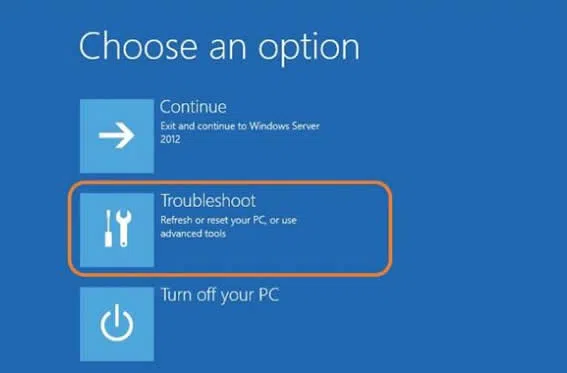 Windows 10 troubleshoot